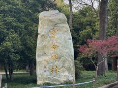 -灵谷景区