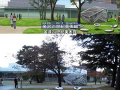 -金泽21世纪美术馆