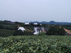 -帐篷客·溪龙茶谷度假酒店