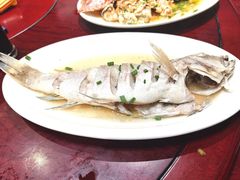 -天天渔港海鲜酒家(石浦玉泉路店)