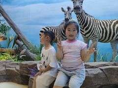 -西霞口神雕山野生动物世界