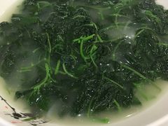 上汤辣椒叶-圣龙酒家