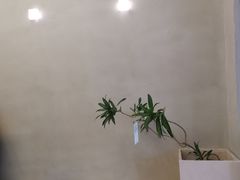 -小团圆糖水铺(襄阳南路店)