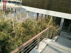 -李村大集