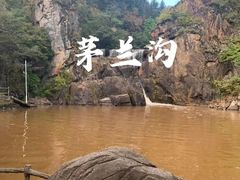 -汤旺河林海奇石景区