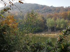 -白马涧龙池景区
