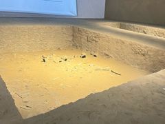 -三星堆博物馆