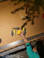 -酷嗒动物文化乐园(cutezoo西溪乐天城店)