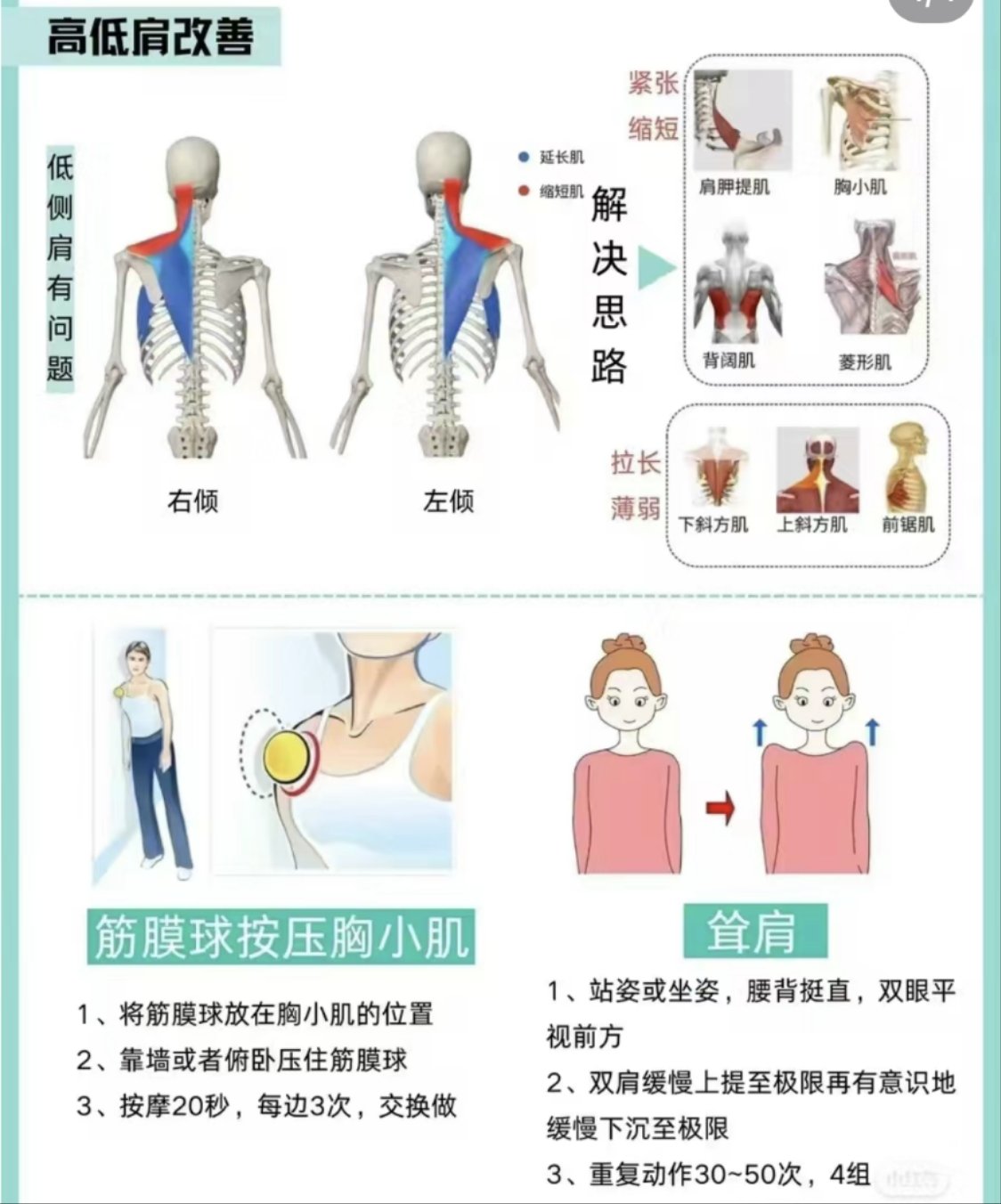 矫正思路高低肩是指由于各种原因导致的