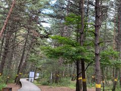 -帽儿山国家森林公园