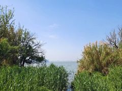 -捞渔河湿地公园