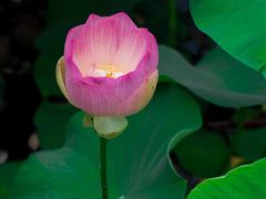 -木塔寺遗址生态公园