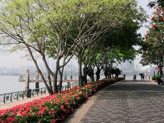 -深圳湾公园(南山区)