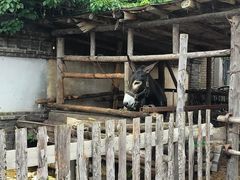 -清风小镇闯关东影视基地