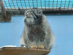 -青藏高原野生动物园