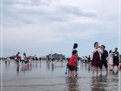-奉贤海滩