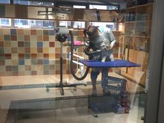 二楼-奈斯宠物医院·核磁CT·异宠专科·内镜(中南店)