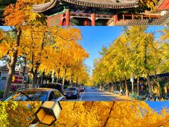 -沉浸北京·团建旅行·密室剧本杀·年会会议轰趴拓展