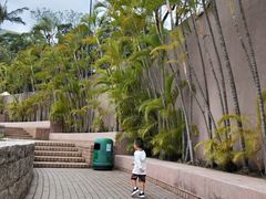 -九龙公园