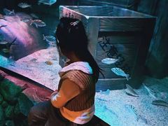 -沈阳海洋探索中心