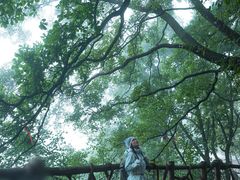-少华山国家森林公园