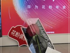-华为智能生活馆(济南印象城)