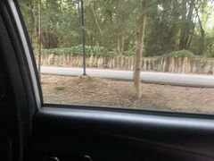 -清迈夜间动物园
