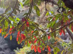 -虎丘山风景名胜区