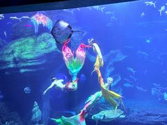 -多彩贵州城极地海洋世界