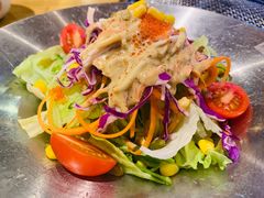 蔬菜沙拉-秋木烤肉·韩国牛肉名家(高新旗舰店)