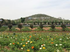 -君乐宝优致牧场