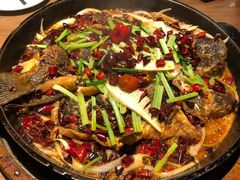 -老板恋上鱼(印象城店)