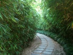 -苏州河梦清园环保主题公园