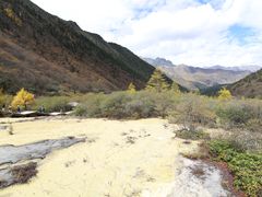 -黄龙山原始森林景区