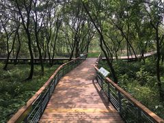 -西湖风景区-江洋畈生态公园