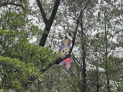 -人民公园(罗湖区)