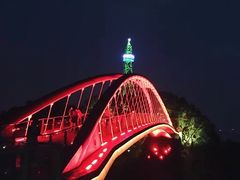 -金鸡山公园