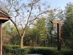 -天目湖涵田半山温泉