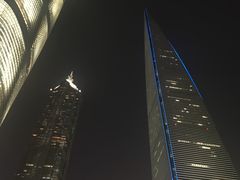 -The lounge 柏悦酒店大堂酒廊(上海环球金融中心店)