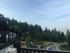 景观位-三峡国际房车露营地(G348店)