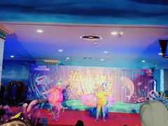 -芜湖新华联大白鲸海洋公园