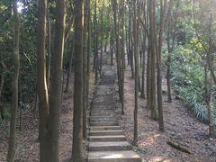 -广州市帽峰山景区