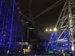 -锦江乐园舞狸花花游园会(夜场专享)