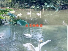 -北京动物园-畅观楼