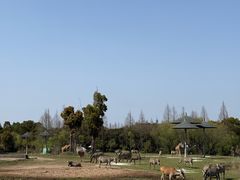 -宁波野生动物园