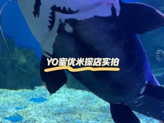 -多彩贵州城极地海洋世界