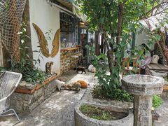 -喵屿·大理花园猫咖