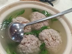 -丁老爷子苏香圆