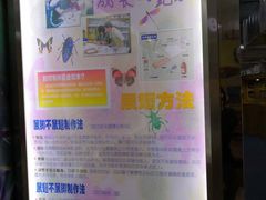 -上海大自然野生昆虫馆(东方明珠·爬宠昆虫探索中心)