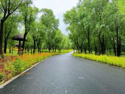 点击看大图 -MY WAY SALON
